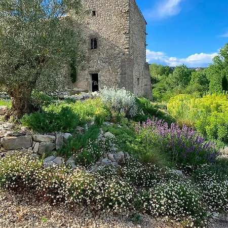 Artists Retreat In Historic Ferienhaus Belvézet